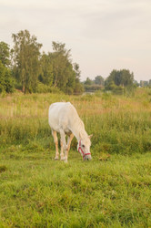 Similar image 21773415