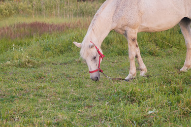 Similar image 21773419