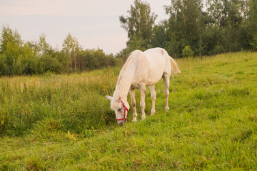 Similar image 21773420