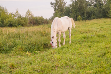 Similar image 21773422