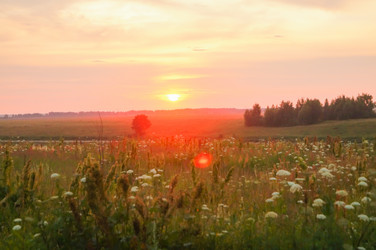 Similar image 21773425