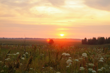 Similar image 21773427