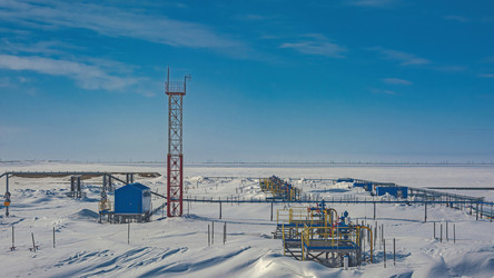 Similar image 21773442