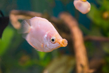 Similar image 21774209