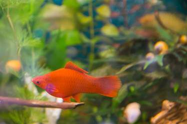 Similar image 21774211