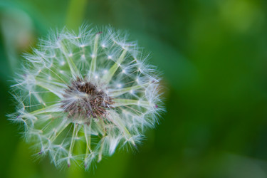 Similar image 21774216