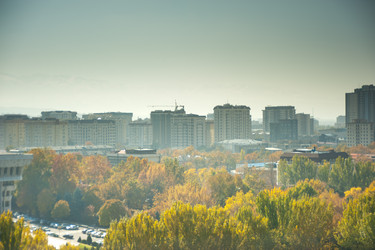 Similar image 21774217