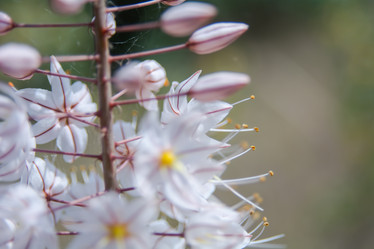 Similar image 21774221