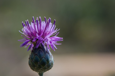 Similar image 21774223