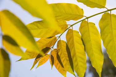 Similar image 21774225