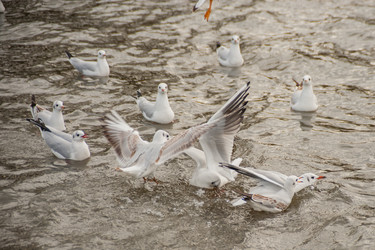 Similar image 21774227