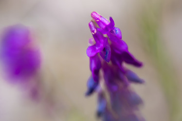 Similar image 21774229