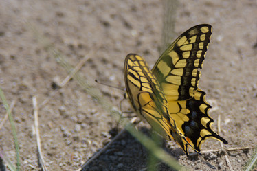 Similar image 21774233