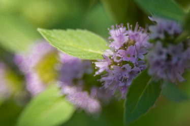 Similar image 21774234