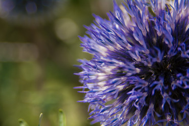 Similar image 21774235