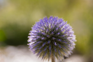 Similar image 21774236