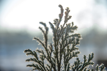 Similar image 21774239