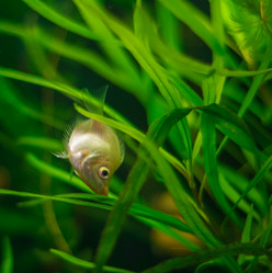 Similar image 21774241