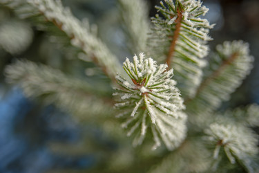 Similar image 21774243