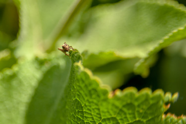 Similar image 21774244