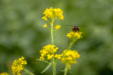 Similar image 21774246