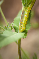 Similar image 21774248