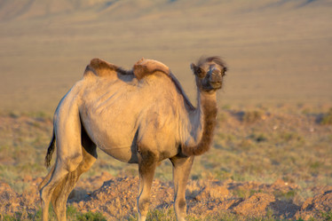 Similar image 21774250