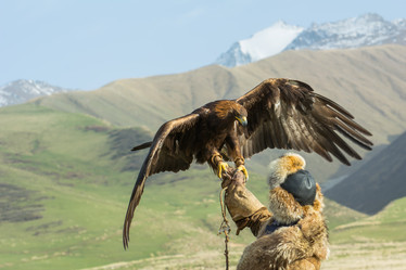 Similar image 21774254