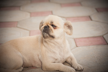 Similar image 21774257