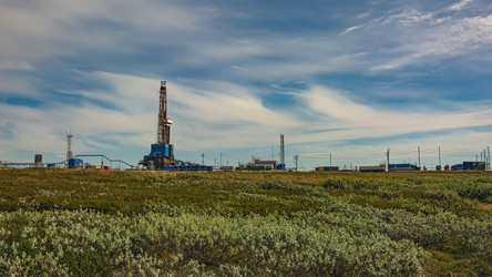 Similar image 21773449