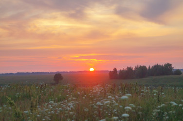 Similar image 21774588