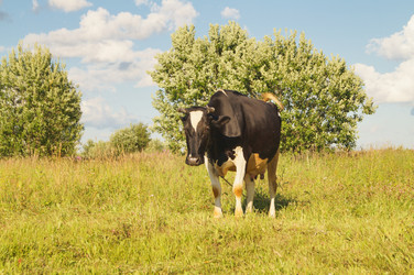 Similar image 21774263