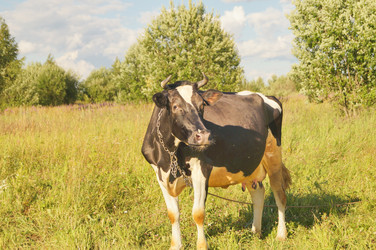 Similar image 21774265