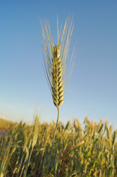 Similar image 21774269