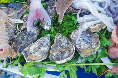 Similar image 21774275