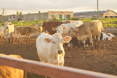 Similar image 21774280