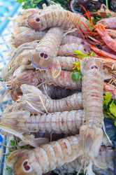 Similar image 21774283