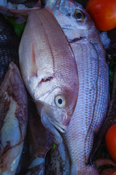 Similar image 21774287