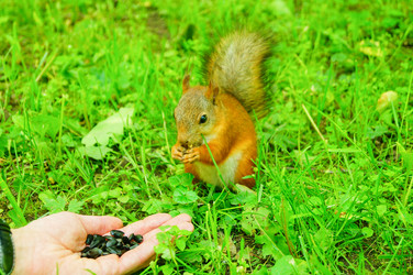 Similar image 21774294