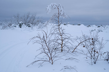 Similar image 21773457