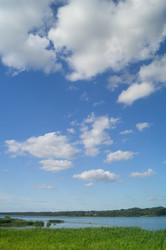 Similar image 21774299