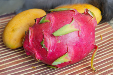 Similar image 21774306