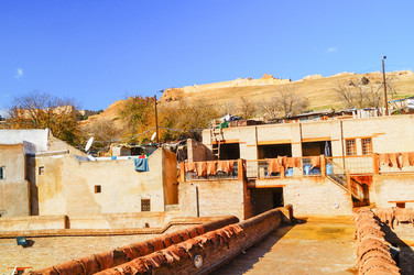 Similar image 21774309