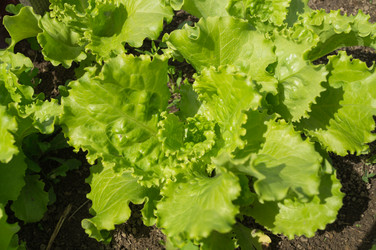 Similar image 21774310