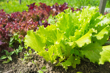 Similar image 21774313