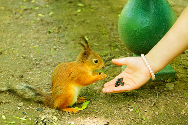 Similar image 21774317