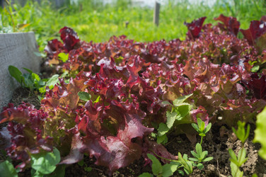 Similar image 21774320