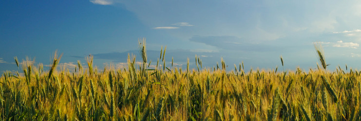 Similar image 21774322