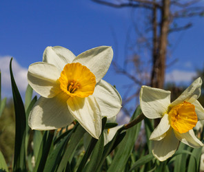 Similar image 21774327