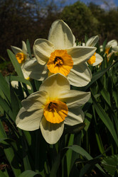 Similar image 21774330